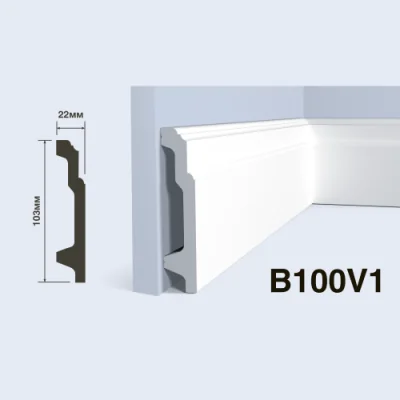 B100V1
