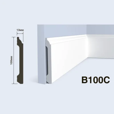 B100C