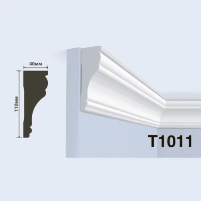 T1011