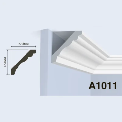 A1011