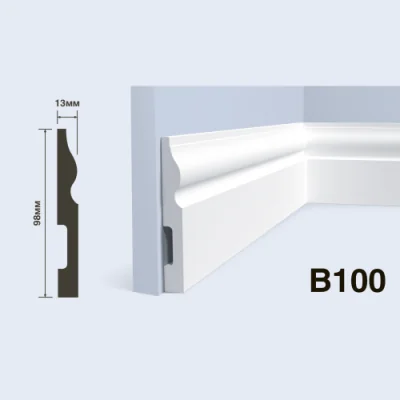 B100