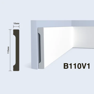 B110V1