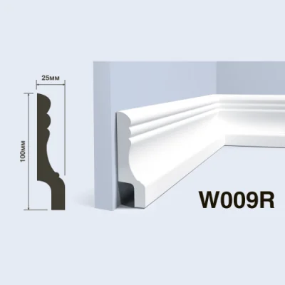 W009R