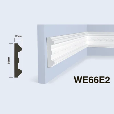 WE66E2