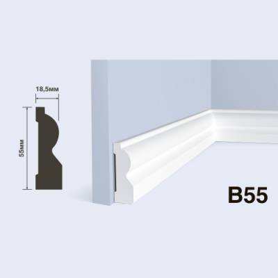B55