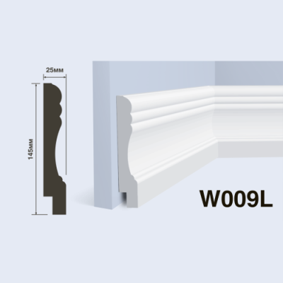 W009L