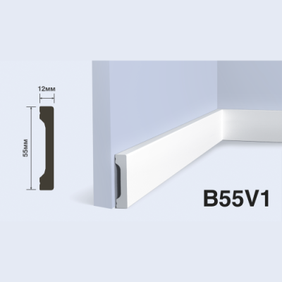 B55V1